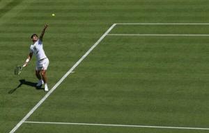 Wimbledon Courts India's Cricket Fans: A Strategic Play for Market Expansion
