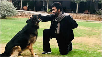 Venkatesh Daggubati mourns demise of pet dog Google, pens a heartfelt message: ‘I’ll miss you forever’