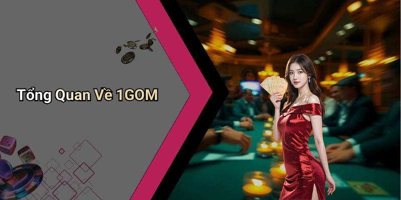 Tổng Quan Về 1GOM
