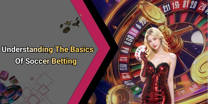 Understanding The Basics Of Soccer Betting