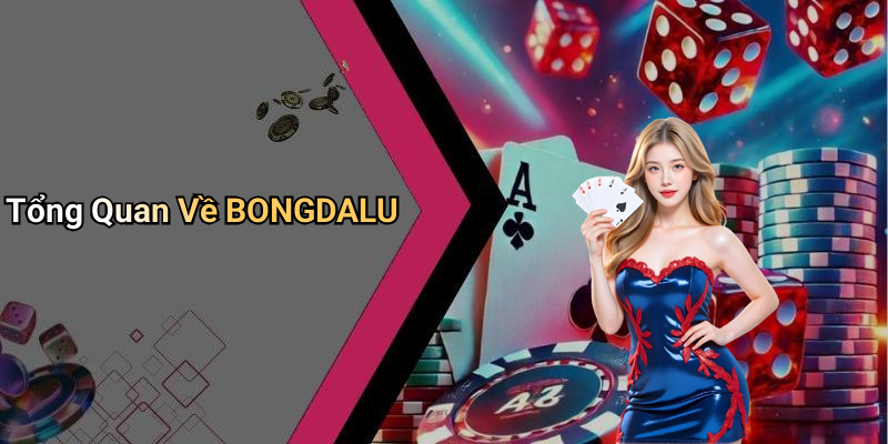 Tổng Quan Về BONGDALU