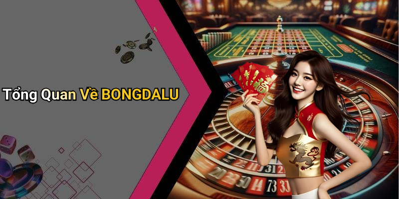 Tổng Quan Về BONGDALU