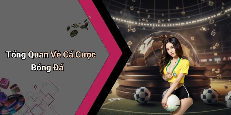 Tổng Quan Về Cá Cược Bóng Đá