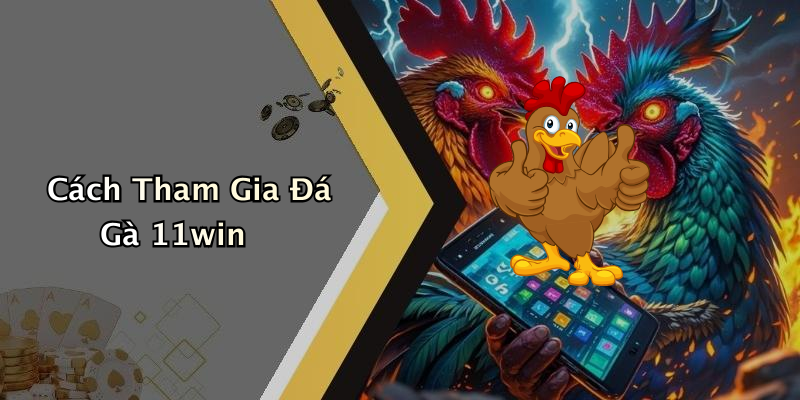 Tại Sao Nên Chọn ĐÁ GÀ 11WIN?