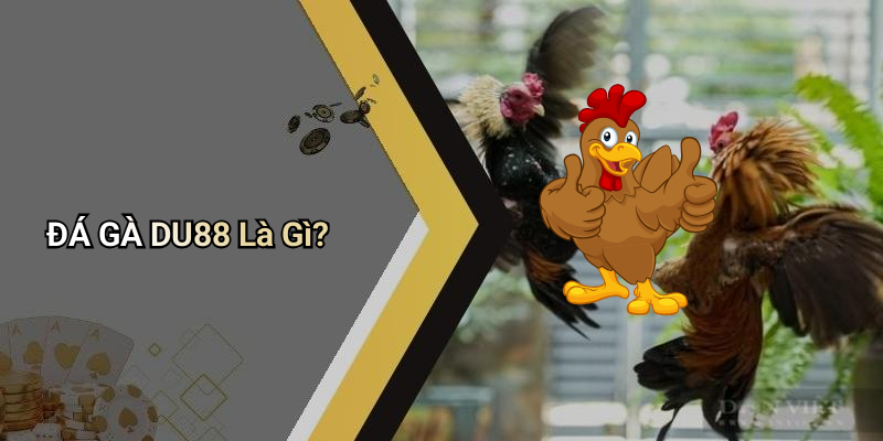 ĐÁ GÀ DU88 Là Gì?