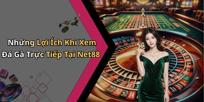 Những Lợi Ích Khi Xem Đá Gà Trực Tiếp Tại Net88