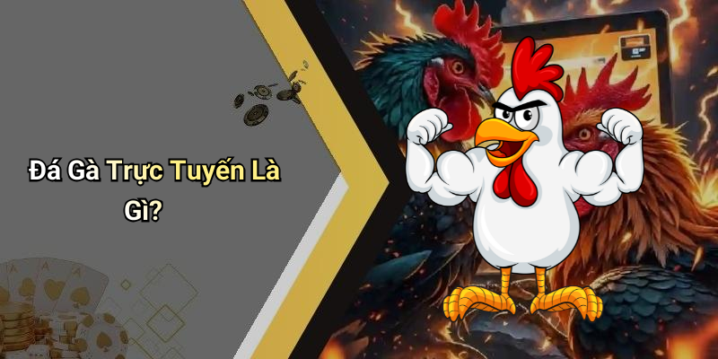 Đá Gà Trực Tuyến Là Gì?
