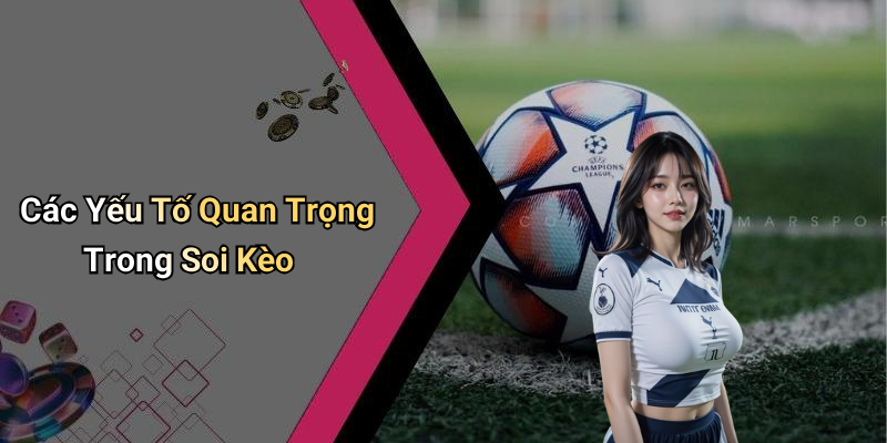 Các Yếu Tố Quan Trọng Trong Soi Kèo