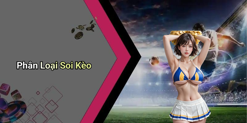 Phân Loại Soi Kèo