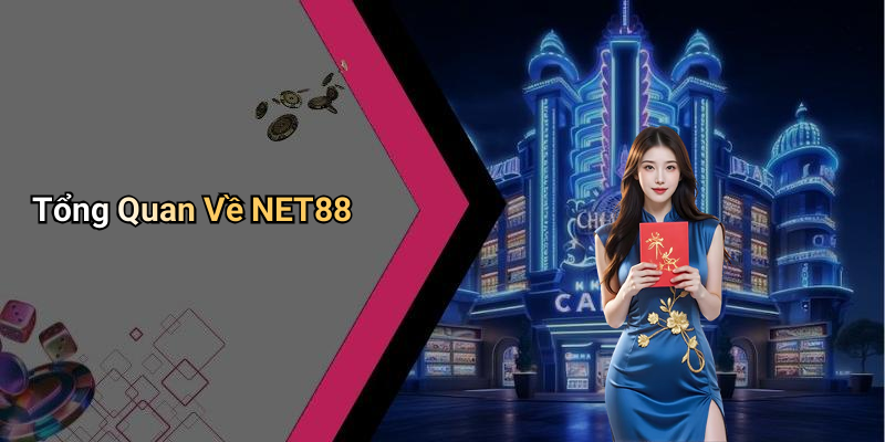 Tổng Quan Về NET88