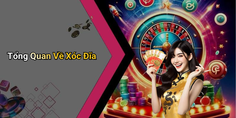 Tổng Quan Về Xóc Đĩa