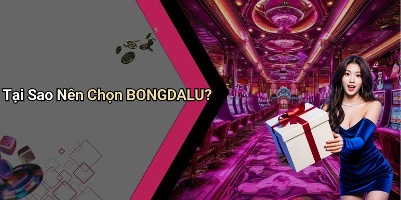 Tại Sao Nên Chọn BONGDALU?