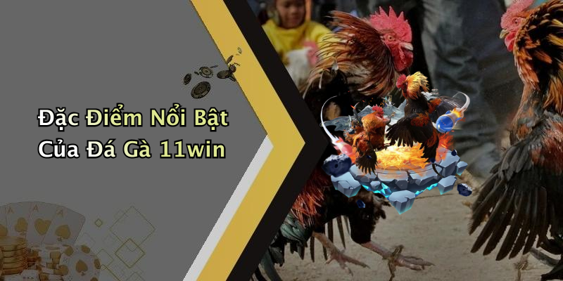 Quy Trình Tham Gia ĐÁ GÀ 11WIN