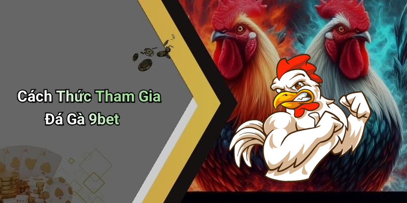 Cách Thức Tham Gia Đá Gà 9bet
