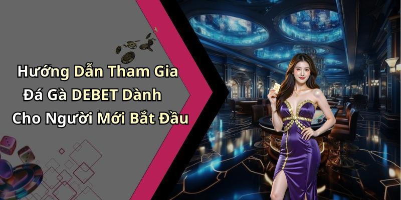 Hướng Dẫn Tham Gia Đá Gà DEBET Dành Cho Người Mới Bắt Đầu