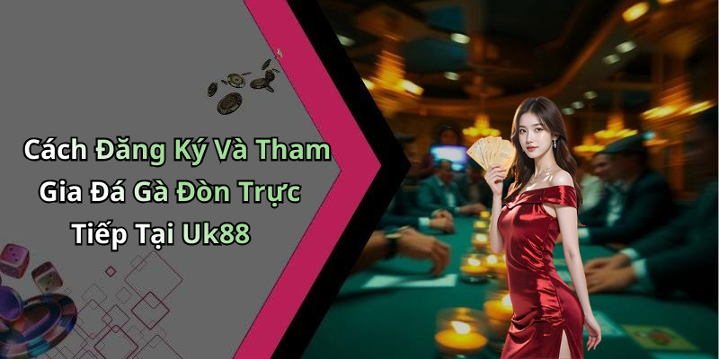 Cách Đăng Ký Và Tham Gia Đá Gà Đòn Trực Tiếp Tại Uk88