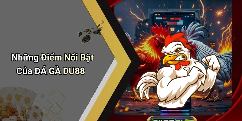 Những Điểm Nổi Bật Của ĐÁ GÀ DU88