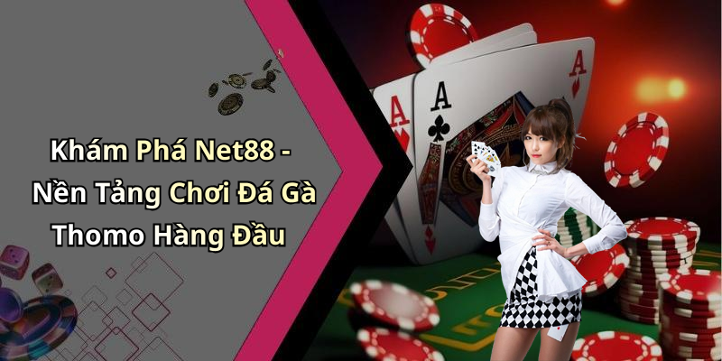 Khám Phá Net88 - Nền Tảng Chơi Đá Gà Thomo Hàng Đầu
