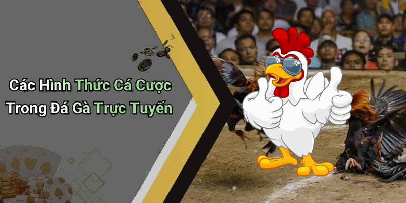 Các Hình Thức Cá Cược Trong Đá Gà Trực Tuyến
