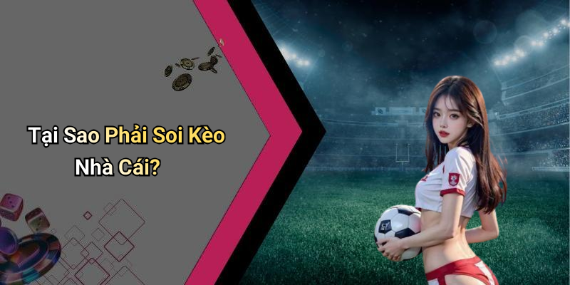 Tại Sao Phải Soi Kèo Nhà Cái?