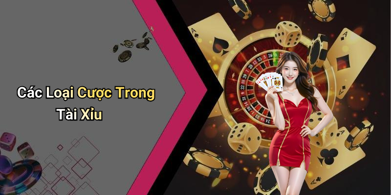 Các Loại Cược Trong Tài Xỉu