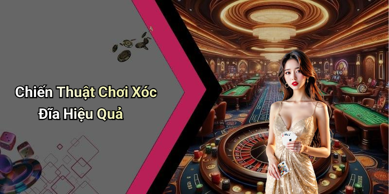 Chiến Thuật Chơi Xóc Đĩa Hiệu Quả