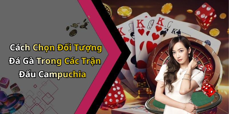 Cách Chọn Đối Tượng Đá Gà Trong Các Trận Đấu Campuchia