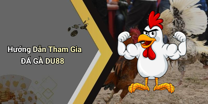 Hướng Dẫn Tham Gia ĐÁ GÀ DU88