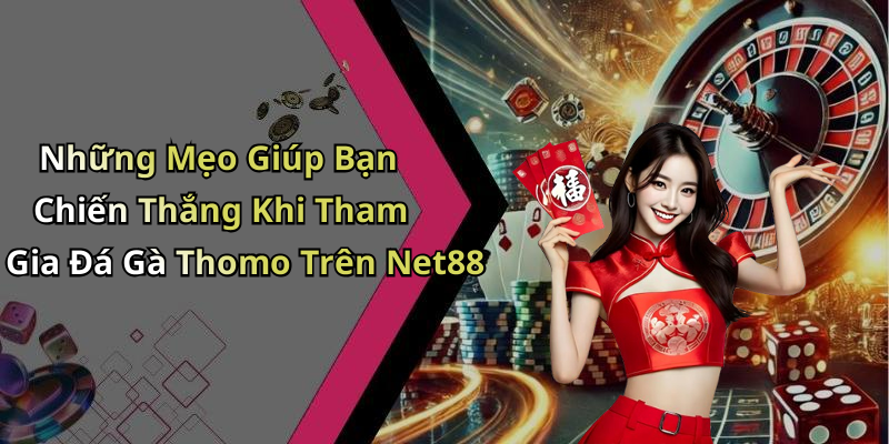 Những Mẹo Giúp Bạn Chiến Thắng Khi Tham Gia Đá Gà Thomo Trên Net88