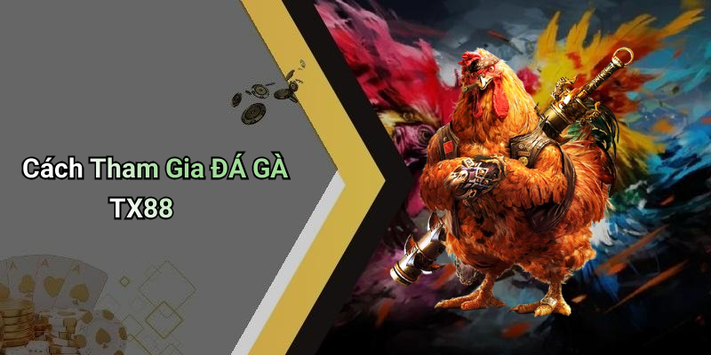 Cách Tham Gia ĐÁ GÀ TX88