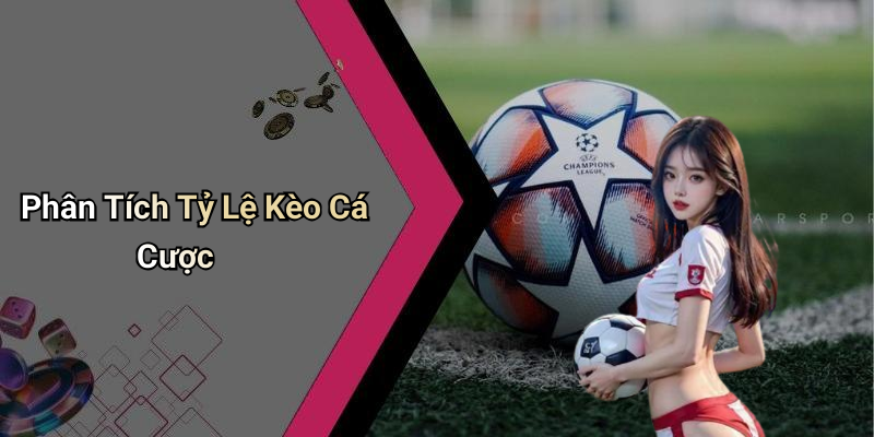 Phân Tích Tỷ Lệ Kèo Cá Cược