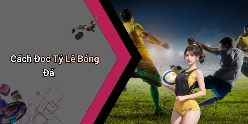 Cách Đọc Tỷ Lệ Bóng Đá